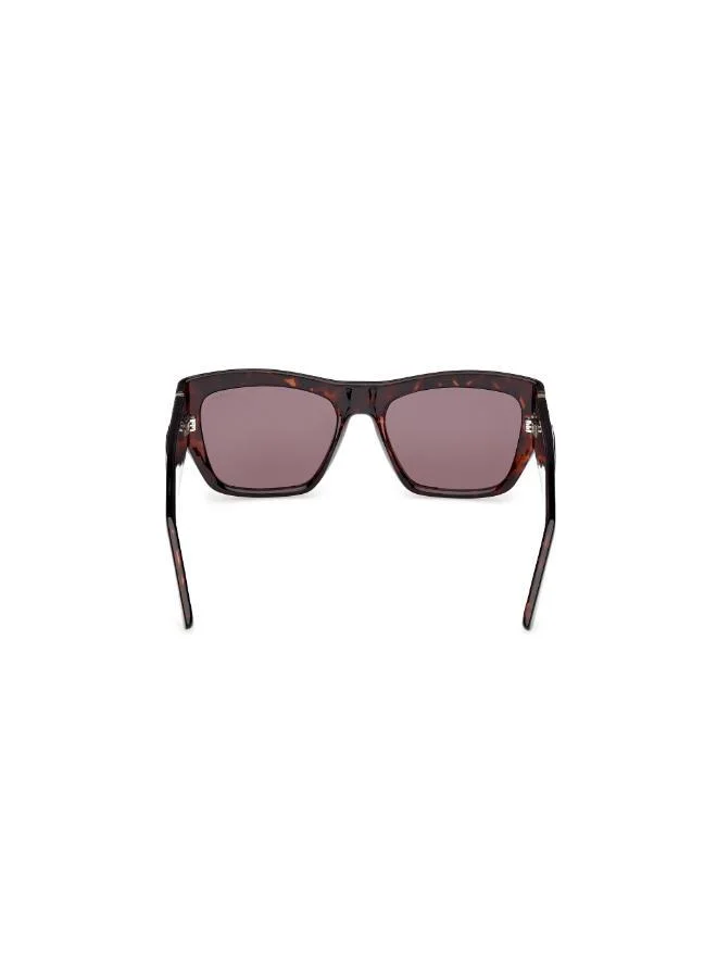 جس wayfarers sunglasses